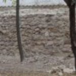 Lee más sobre el artículo Progresos en los trabajos de la muralla de Almendro.