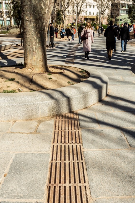 El sendero podotáctil, sorprendentemente, se “sumerge” bajo el parterre del árból, para reaparecer nuevamente unos metros más allá.