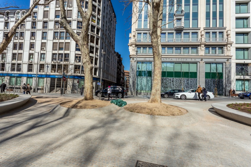 Imagen del arbolado de alineamiento, que forma un embudo o estrechamiento en la salida septentrional de los jardines de la plaza de España.